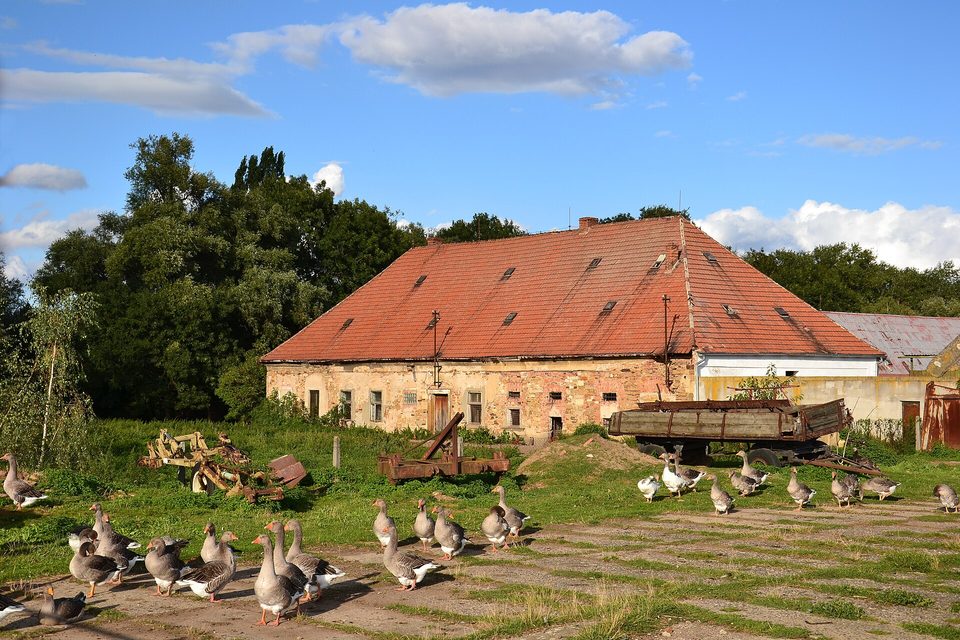 Bílence Chateau