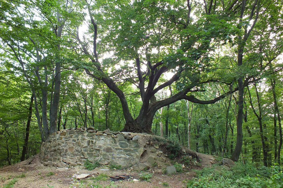 Ruins of Zuvačov Castle